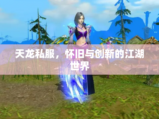 天龙私服，怀旧与创新的江湖世界