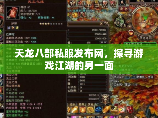 天龙八部私服发布网，探寻游戏江湖的另一面