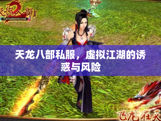 天龙八部私服，虚拟江湖的诱惑与风险