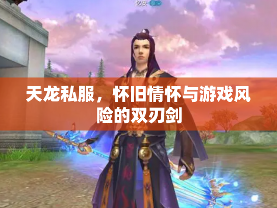 天龙私服，怀旧情怀与游戏风险的双刃剑