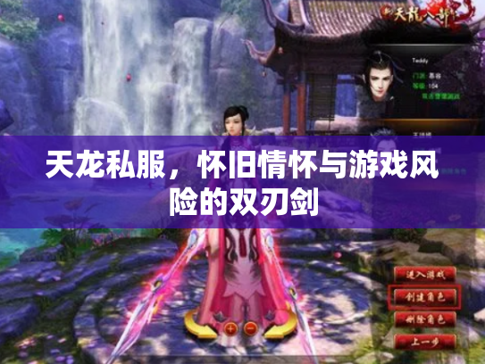 天龙私服，怀旧情怀与游戏风险的双刃剑