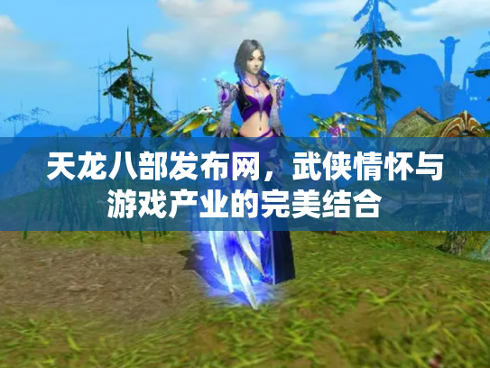 天龙八部发布网，武侠情怀与游戏产业的完美结合