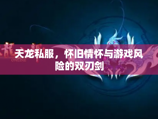 天龙私服，怀旧情怀与游戏风险的双刃剑