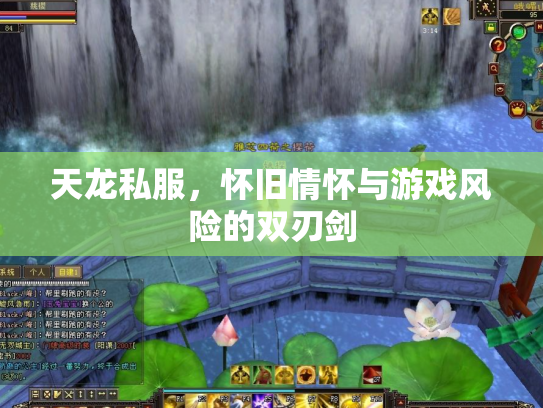 天龙私服，怀旧情怀与游戏风险的双刃剑