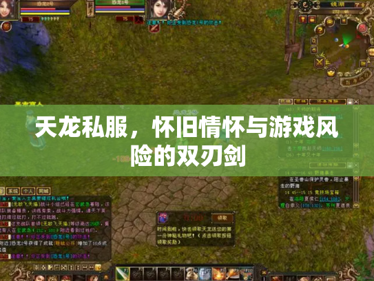 天龙私服，怀旧情怀与游戏风险的双刃剑