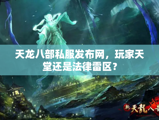 天龙八部私服发布网，玩家天堂还是法律雷区？