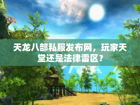 天龙八部私服发布网，玩家天堂还是法律雷区？