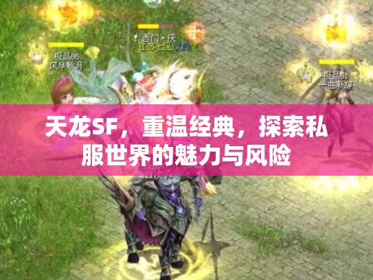 天龙SF，重温经典，探索私服世界的魅力与风险