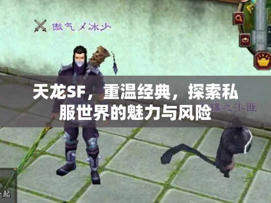天龙SF，重温经典，探索私服世界的魅力与风险