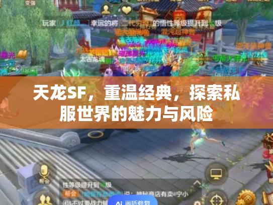 天龙SF，重温经典，探索私服世界的魅力与风险