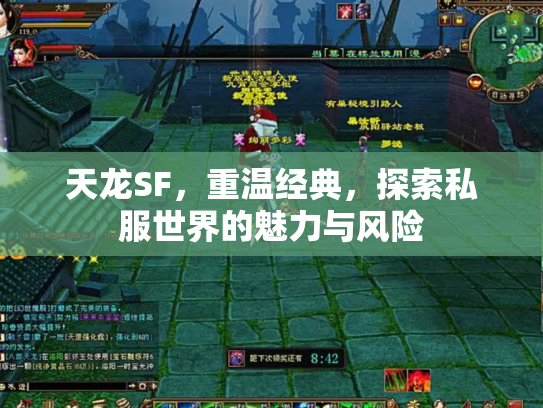 天龙SF，重温经典，探索私服世界的魅力与风险