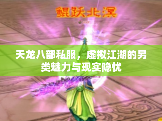 天龙八部私服，虚拟江湖的另类魅力与现实隐忧