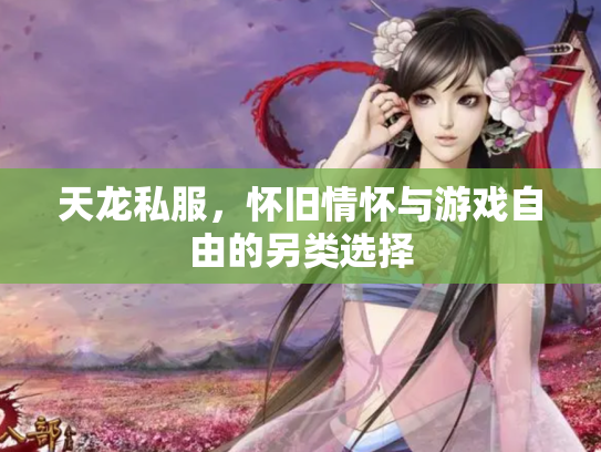 天龙私服，怀旧情怀与游戏自由的另类选择