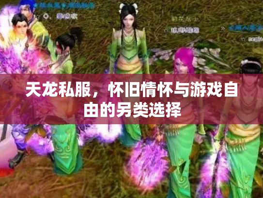 天龙私服，怀旧情怀与游戏自由的另类选择