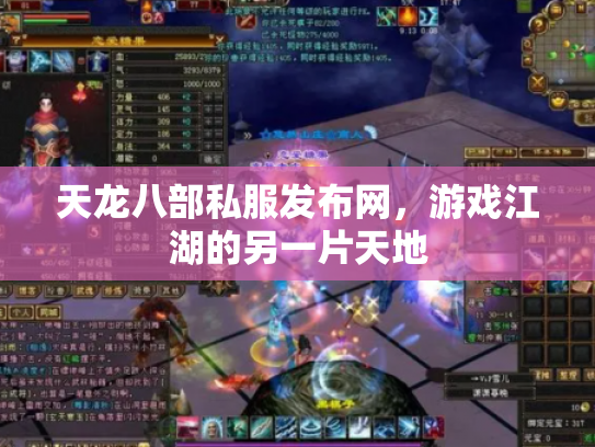 天龙八部私服发布网，游戏江湖的另一片天地