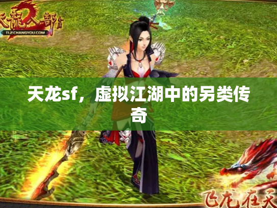 天龙sf，虚拟江湖中的另类传奇