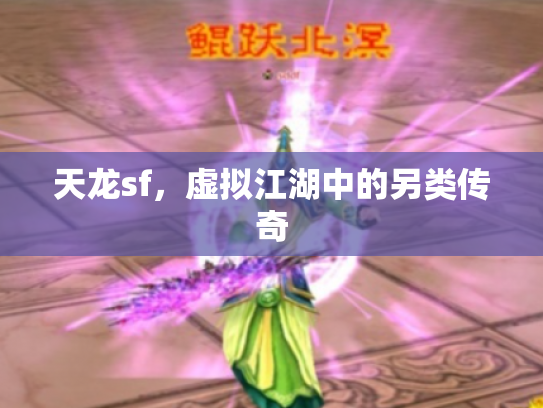 天龙sf，虚拟江湖中的另类传奇