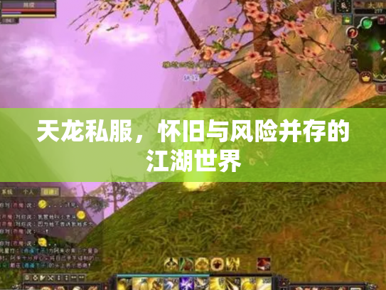天龙私服，怀旧与风险并存的江湖世界