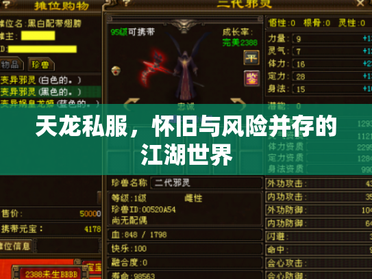 天龙私服，怀旧与风险并存的江湖世界