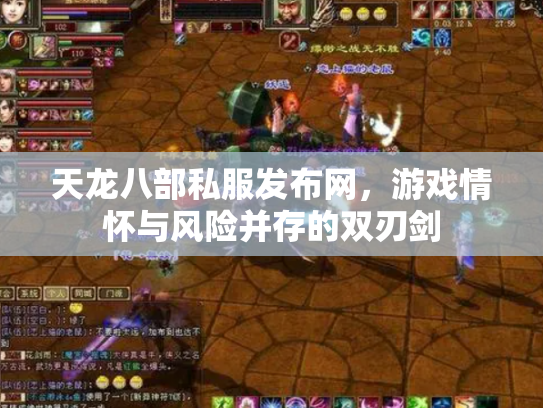 天龙八部私服发布网，游戏情怀与风险并存的双刃剑