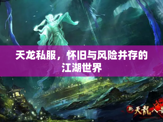 天龙私服，怀旧与风险并存的江湖世界