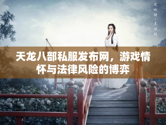 天龙八部私服发布网，游戏情怀与法律风险的博弈