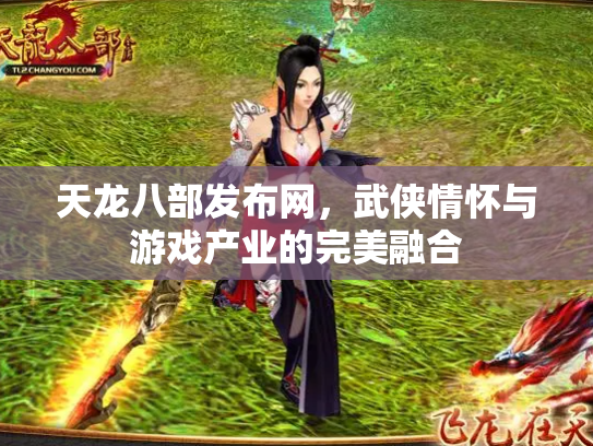 天龙八部发布网，武侠情怀与游戏产业的完美融合