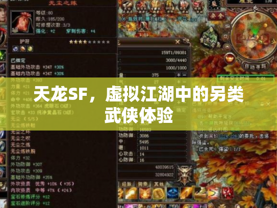 天龙SF，虚拟江湖中的另类武侠体验