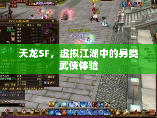 天龙SF，虚拟江湖中的另类武侠体验