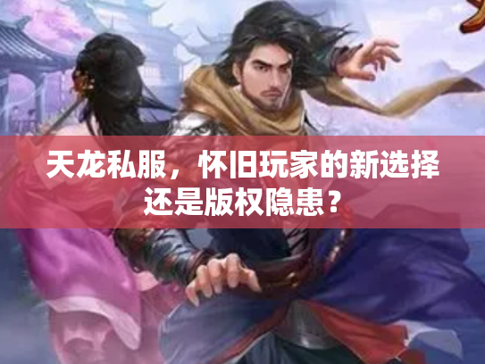 天龙私服，怀旧玩家的新选择还是版权隐患？
