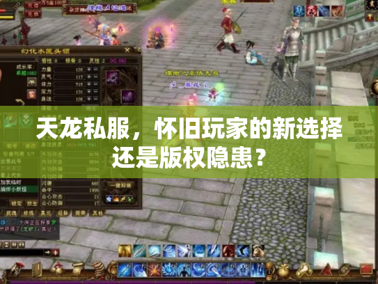 天龙私服，怀旧玩家的新选择还是版权隐患？