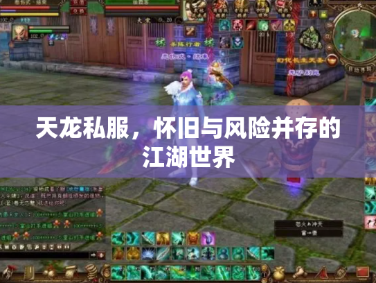 天龙私服，怀旧与风险并存的江湖世界