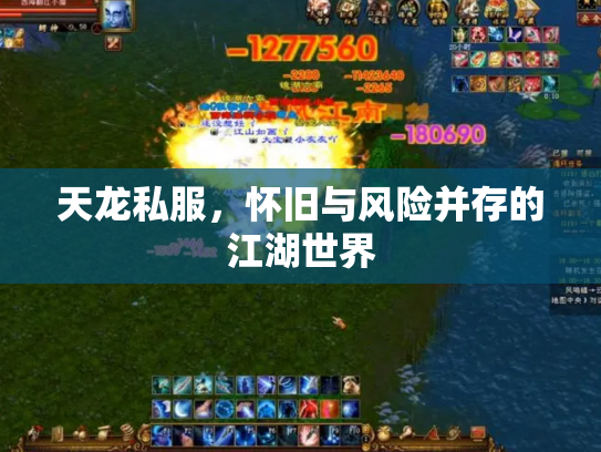 天龙私服，怀旧与风险并存的江湖世界