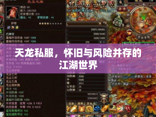 天龙私服，怀旧与风险并存的江湖世界