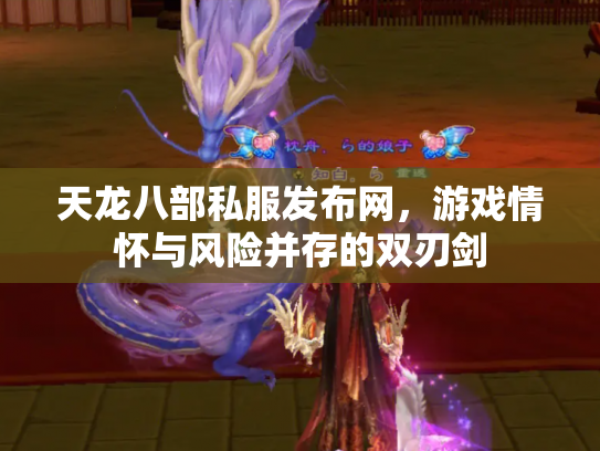 天龙八部私服发布网，游戏情怀与风险并存的双刃剑