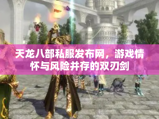 天龙八部私服发布网，游戏情怀与风险并存的双刃剑