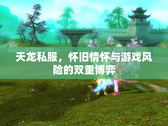 天龙私服，怀旧情怀与游戏风险的双重博弈