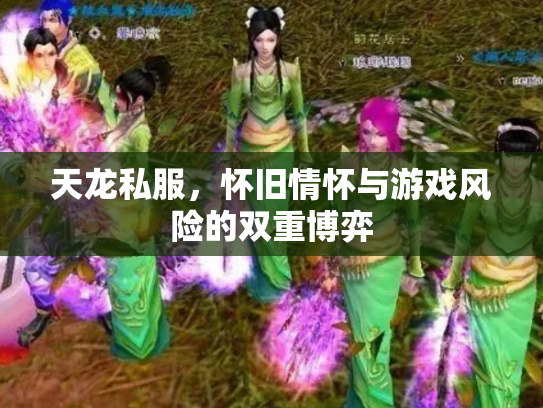 天龙私服，怀旧情怀与游戏风险的双重博弈