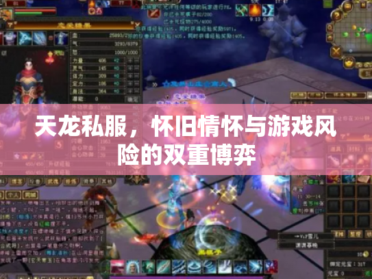 天龙私服，怀旧情怀与游戏风险的双重博弈