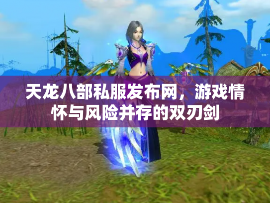 天龙八部私服发布网，游戏情怀与风险并存的双刃剑