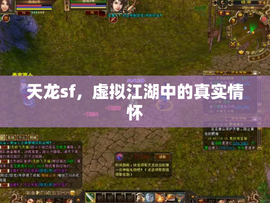 天龙sf，虚拟江湖中的真实情怀