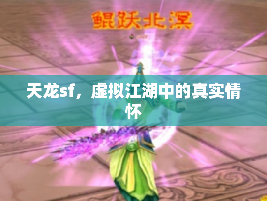 天龙sf，虚拟江湖中的真实情怀