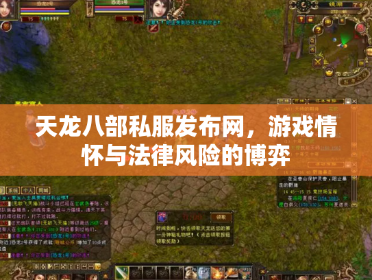 天龙八部私服发布网，游戏情怀与法律风险的博弈