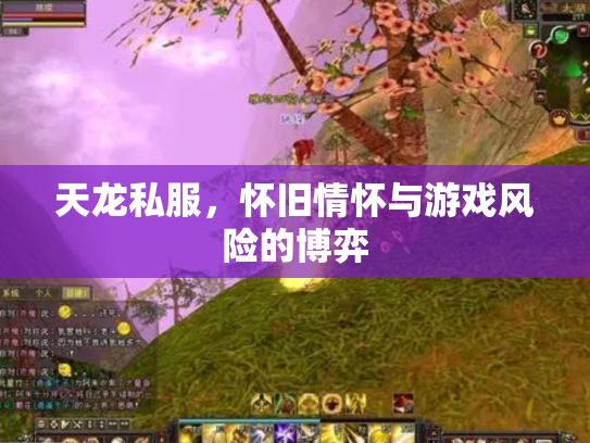 天龙私服，怀旧情怀与游戏风险的博弈