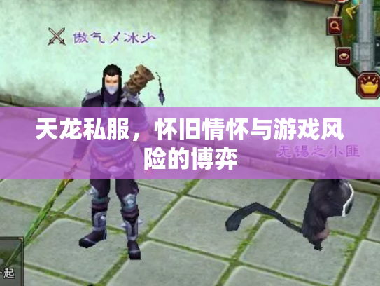 天龙私服，怀旧情怀与游戏风险的博弈