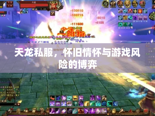 天龙私服，怀旧情怀与游戏风险的博弈