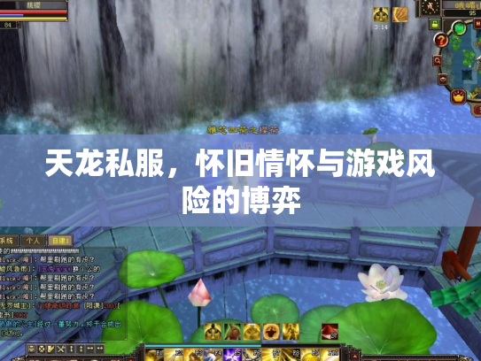 天龙私服，怀旧情怀与游戏风险的博弈
