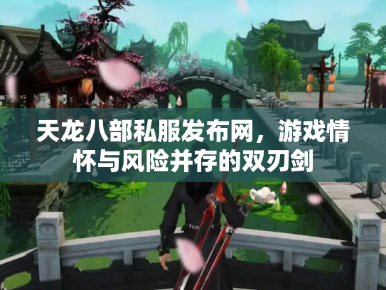 天龙八部私服发布网，游戏情怀与风险并存的双刃剑