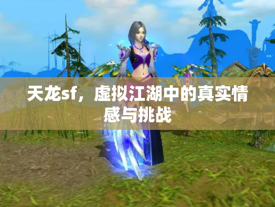 天龙sf，虚拟江湖中的真实情感与挑战