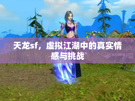天龙sf，虚拟江湖中的真实情感与挑战